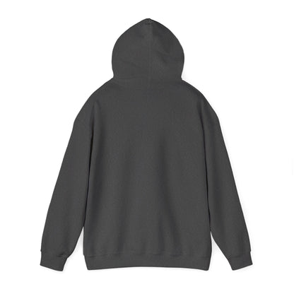 "Different Minds, Bright Futures" Unisex Hoodie — Colorful Star Graphic | Uplifted By Design™ Autism Acceptance & Sensory Pride Hoodie