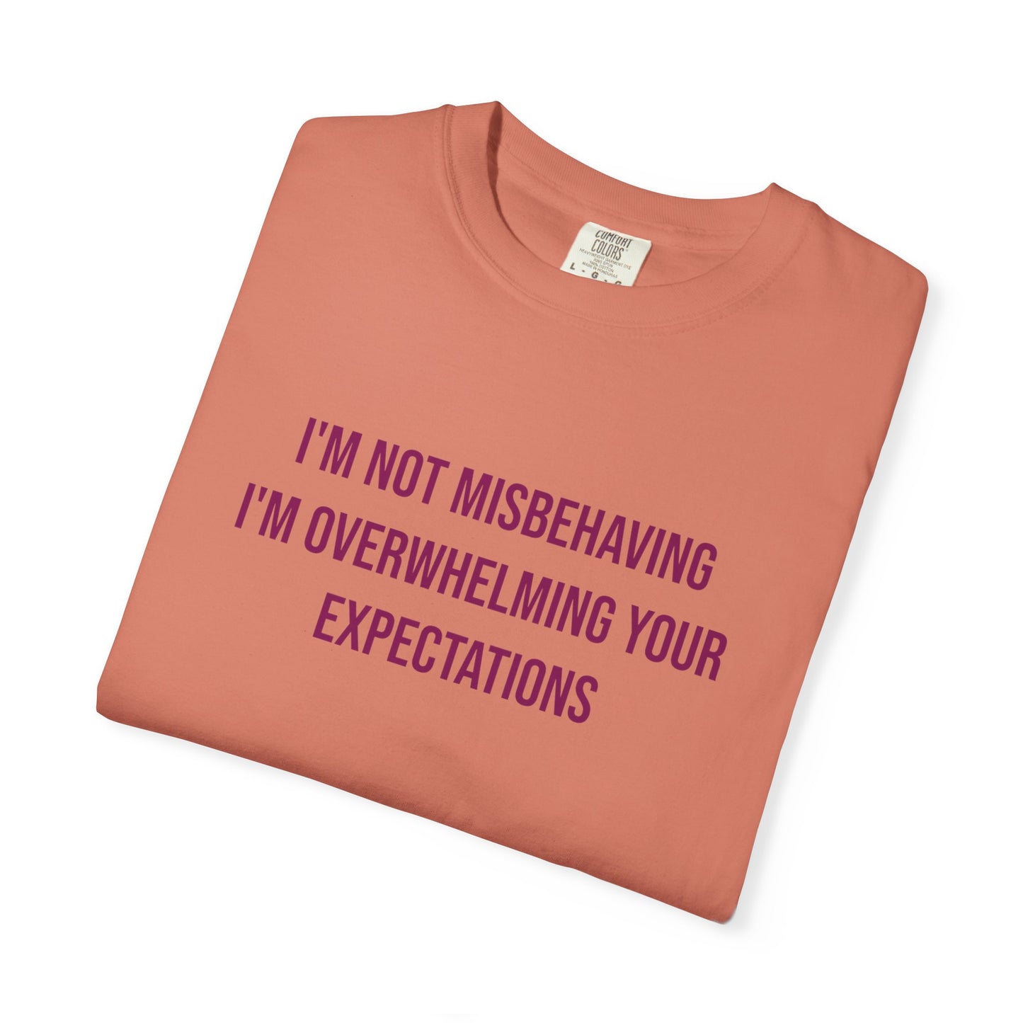 Im Not Misbehaving Im Overwhelming Your Expectations Empowerment T-shirt | Autism Awareness Streetwear Tee