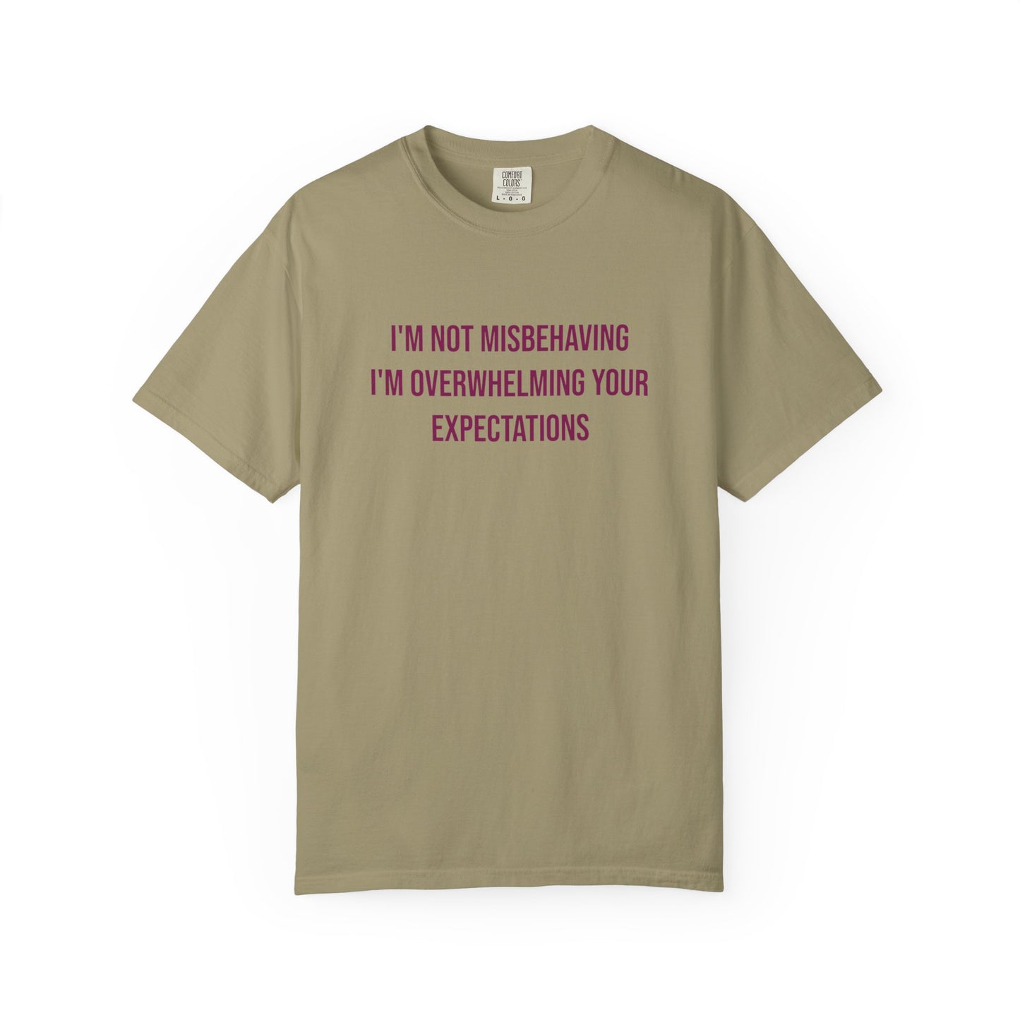 Im Not Misbehaving Im Overwhelming Your Expectations Empowerment T-shirt | Autism Awareness Streetwear Tee