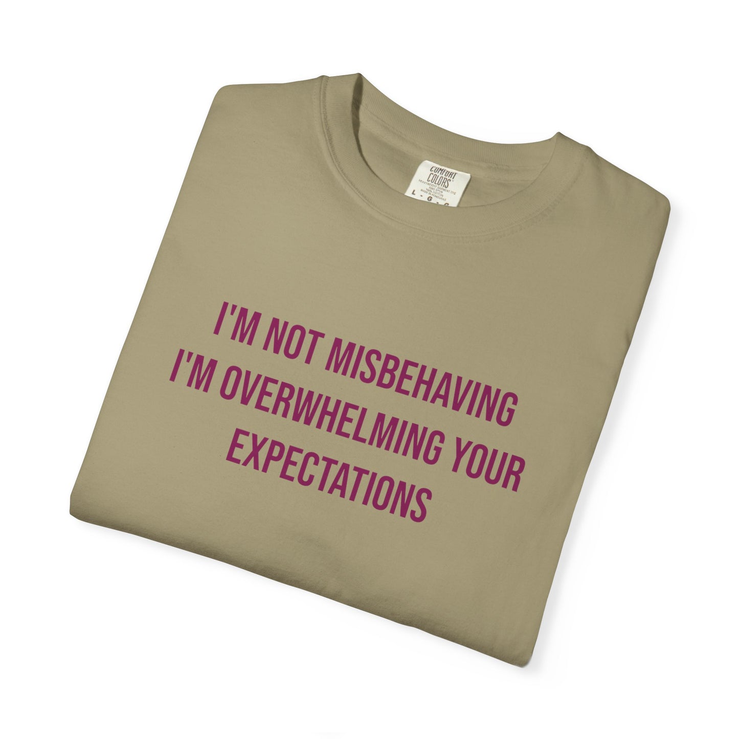 Im Not Misbehaving Im Overwhelming Your Expectations Empowerment T-shirt | Autism Awareness Streetwear Tee